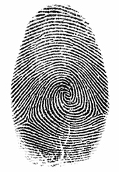 fingerprint