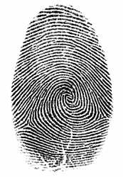 fingerprint