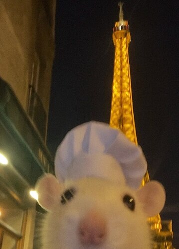 IMG_20250423_093159_317