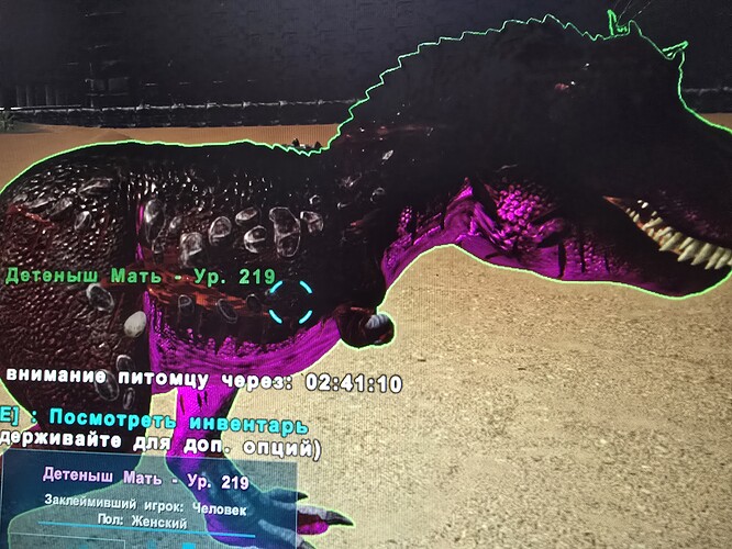 20250602_234047