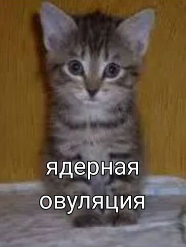 1efefb41b70c2b521a7704ffb4e7ce84