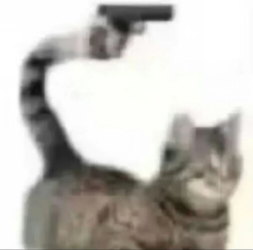 кит
