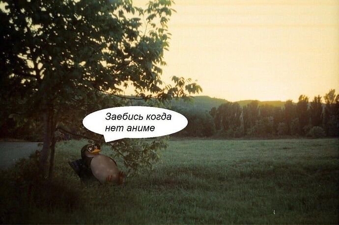 IMG_20221019_083105_506