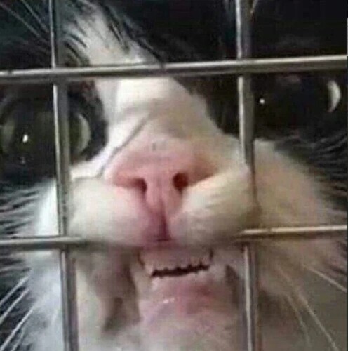 cnxJqlakH_4