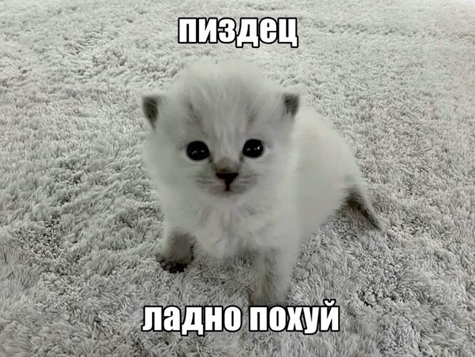 1wC1ldbkDyi6gdxsV1Afbxeg2nlbXk3nvZZTuAOvkZ4mNMbi1KM_hP9Uxjs5P8mJmxavDuUejhIes2b-a-yuwG9Y