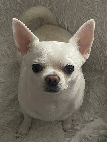 IMG_20250929_114442_280