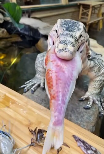 Screenshot_20251022_162803_Instagram