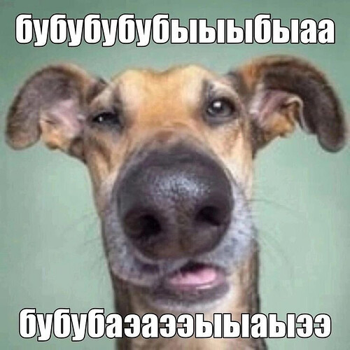 зебеддейфотовцвете