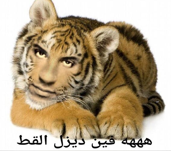 df4ee3d19c1cc9dc73d0fb04bad8a3f8
