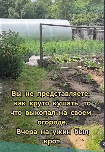 Screenshot_20250830_184307_Instagram