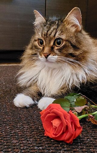 IMG_20231004_153825_183
