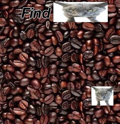 SSJ_1742806919589