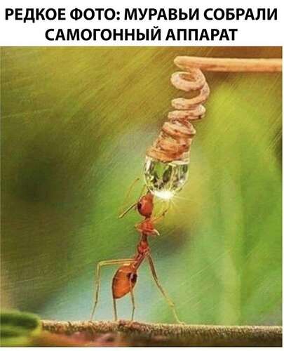 IMG_20250312_165951_330