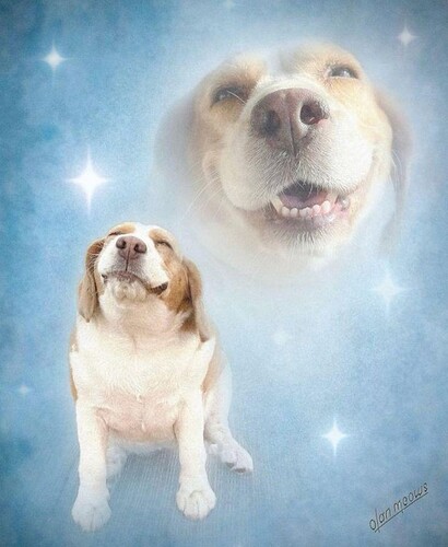 онвраюаминь