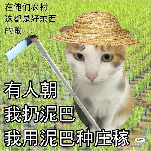 китайскийкитя