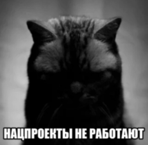 IMG_20250526_080952