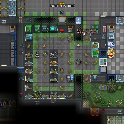 Безымянный