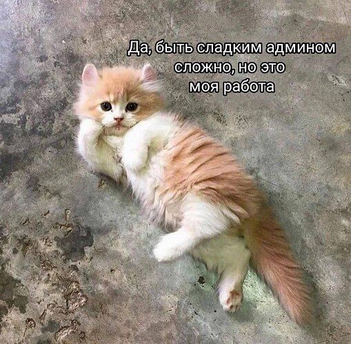 да быть сладким админом