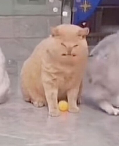 китя