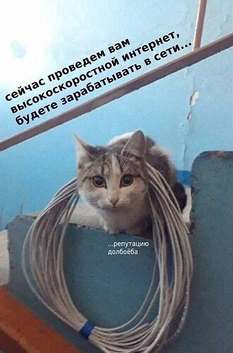 XPquSrwYMx5aQndrPJTjDdSv2wrJezPbjNWMH07LKMYRSAB6cvQUwwdIIVfbySKJe3E8pA1447GUw4lt9rzRoGc8