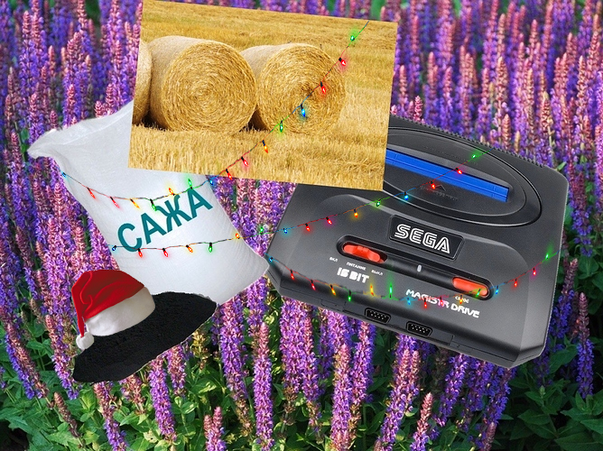 %D1%81%D0%B0%D0%B6%D0%B0%D0%B7%D0%B0%D0%B4%D0%B6%D0%BE%D0%B1%D0%B1%D0%B0%D0%BD%D1%8B