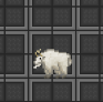 baw