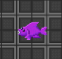 carp