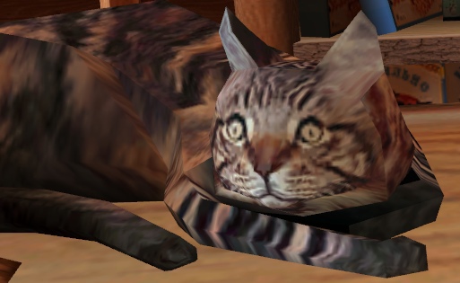 lmyIBdBdbjY