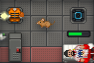 Screenshot_1