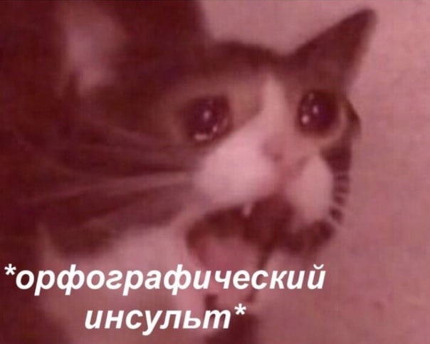 dWruqISEeyM