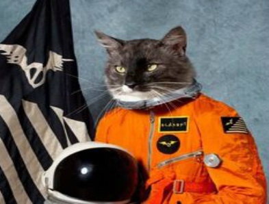 welcome-to-the-internet_o_5896331
