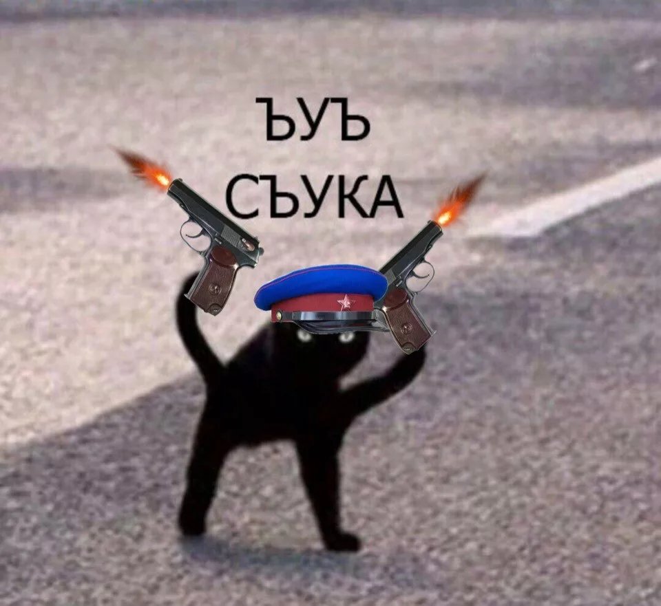 У сюка картинка