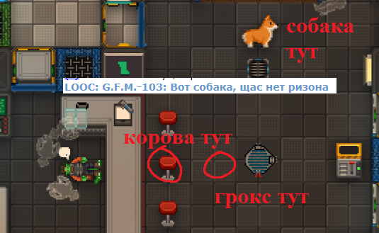 14587547+458477+4