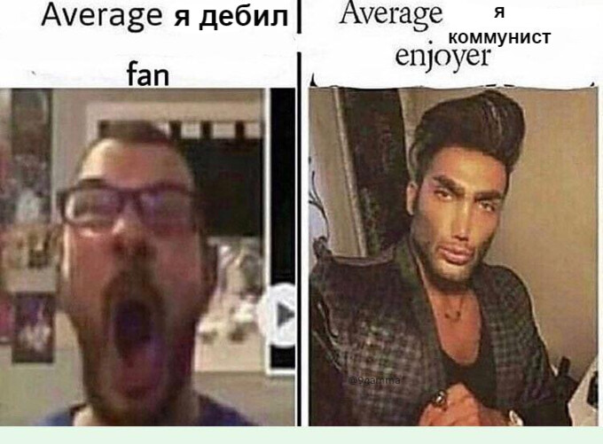 average-fan-vs-average-enjoyer