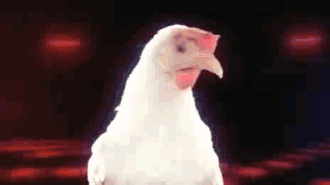 discochick