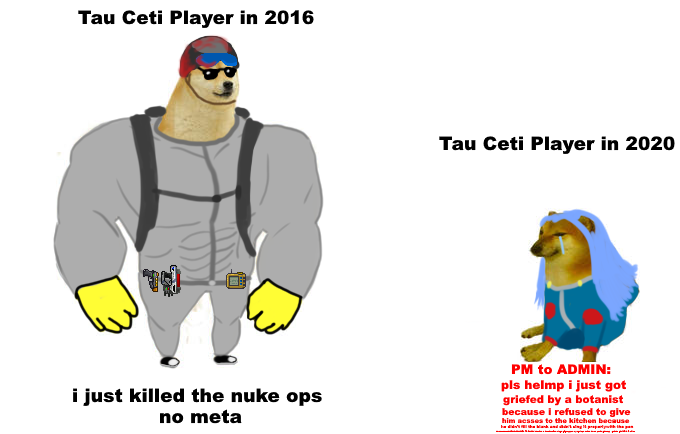 dogememe