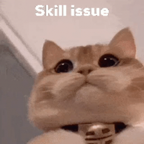 skill-issue-cat