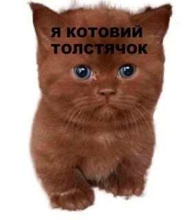c0afcc54c2dc4a719bb4c7bf023a298d_x49FdaA8ofU.preview