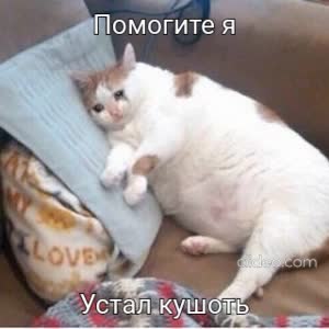 61c9001fb8595723f7d27a8c468ff32b_FtmXvDvY