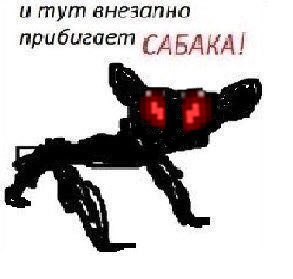 Сабака