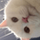 Sivay47